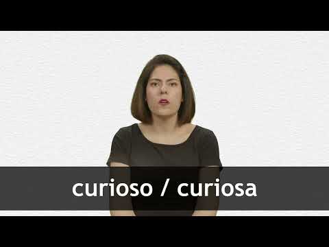 English Translation of “CURIOSO” | Collins Spanish-English Dictionary