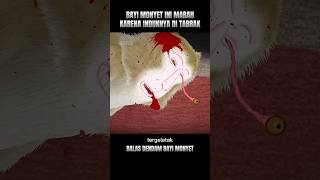 Download lagu BAYI MONYET INI MEMBALAS DENDAM KEPADA PARA MANUSIA #alurceritafilm #shorts mp3