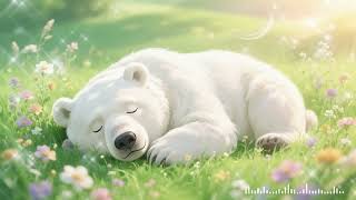 Deep Sleep Music with Animals 🐾 | 動物と眠るやさしい癒し音楽　044