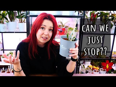 This needs to STOP! - Repotting Catasetum Orchids & venting about their biggest myth 😖