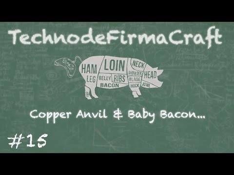 ~ Technode TerraFirmaCraft - Ep15 - Stone Anvil, Forge, Copper Anvil and Baby Pigs!!!!!!!!