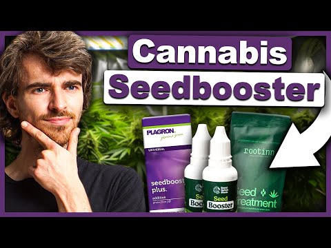 Welche Seedbooster lohnen sich? TEST + GEWINNSPIEL
