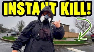 Winter Weeds & Moss Instant Kill! Products I use for Fast Results!