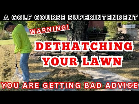 Lawn Care Myths That Waste Your Time & Money