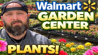 Plant Shopping at Walmart… Surprising Finds!