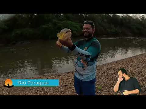 Só capturas e Solturas de peixes #pescaria