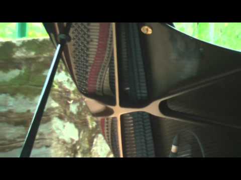 Giovanni Guidi piano solo.wmv