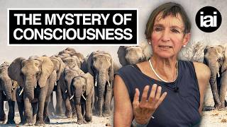 Can we ever be sure that animals are conscious? | Martine Nida-Rümelin