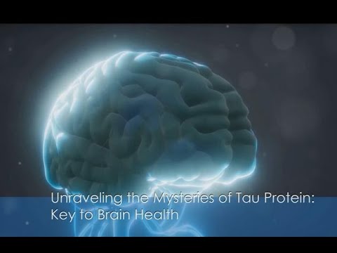 Unraveling the Mysteries of Tau Protein: Key to Brain Health