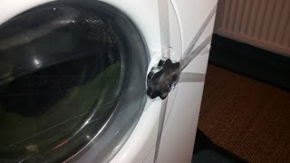 How to disassemble a chair [TUTORIAL]