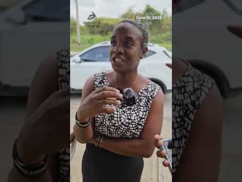 DLP education spokesperson Felicia Dujon calls for national plan to deal with violence in schools