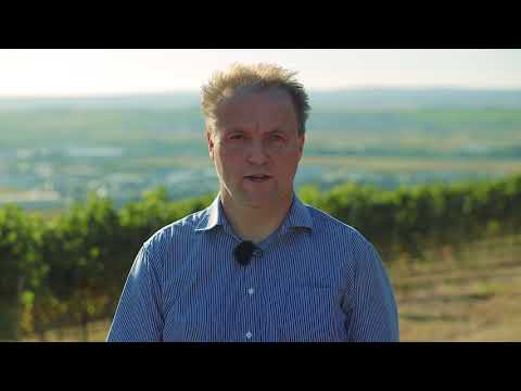 Michael Simon persönlich