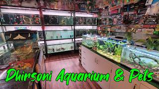 New Fish Stock at Dhirsoni Aquarium & Pets