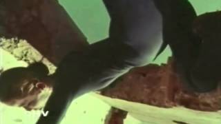 Death And Vanilla - California Owls