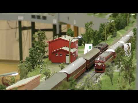 Fremo Bodø Norway 2024