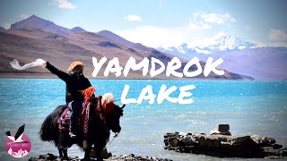 preview picture of video 'Yamdrok Lake, Tibet'