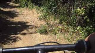 Biking down Toyon Trail, Fremont Older OSP