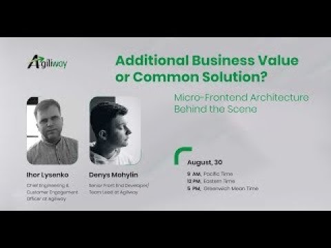 Business Value or Common Solution? Micro-Frontend Architecture Overview