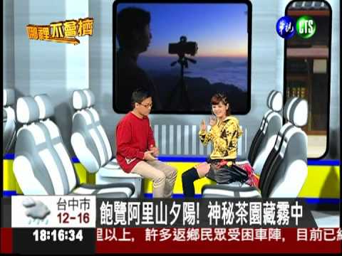 飽覽阿里山夕陽! 神秘茶園藏霧中