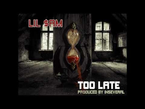 Lil $am - 15 - Too Late (Prod. by Seize the Beat)