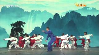 Download lagu Wushu Performance - Chinese New Year 2013 - 2013年春晚《中国武术》 mp3