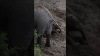 Africa's Most Incredible Sunset