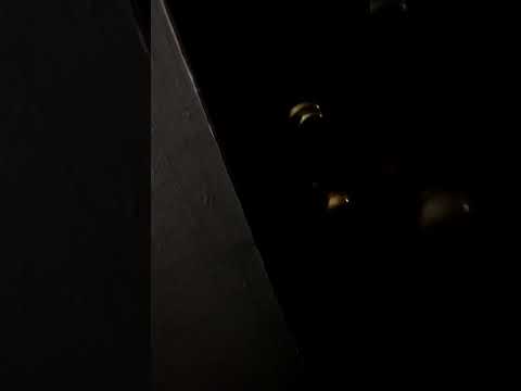 Hampshire Hill Apartment Bloomington MN  Noise from 6800 apartment 203. Confrontation. Police.