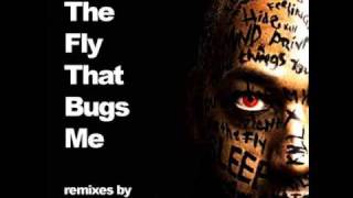 James Nidecker - The Fly Thay Bugs Me (Landmark Remix)