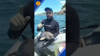 Miniature vidéo