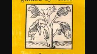 guided by voices - gleemer (the deeds of fertile jim)