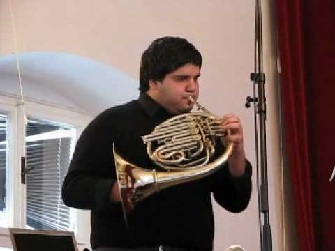 String Orchestra ZUŠ Jeseník - J.D.Škroup: Concerto  in B flat major