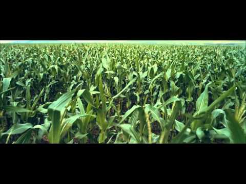 Memoryhouse - Sleep Patterns