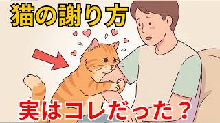 猫は謝ることができるの？かわいいサインの意味を解説！