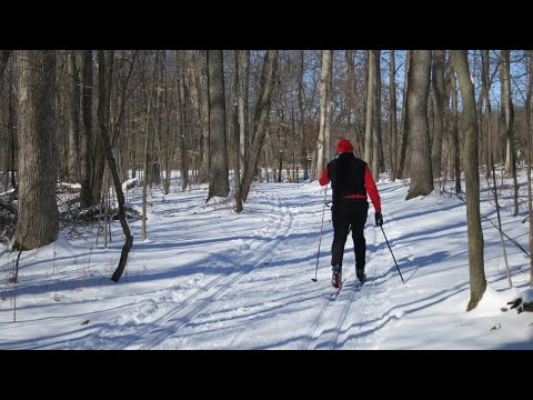 How To Cross-Country Ski: A Beginner's Guide