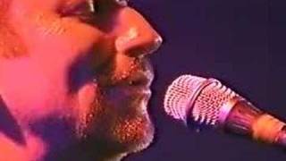 Beautiful World - Colin Hay (Live)