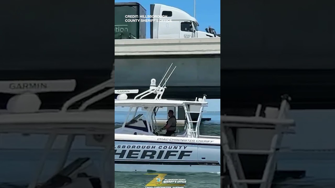 Dive teams search for missing USF student #florida #howardfranklandbridge #tampa