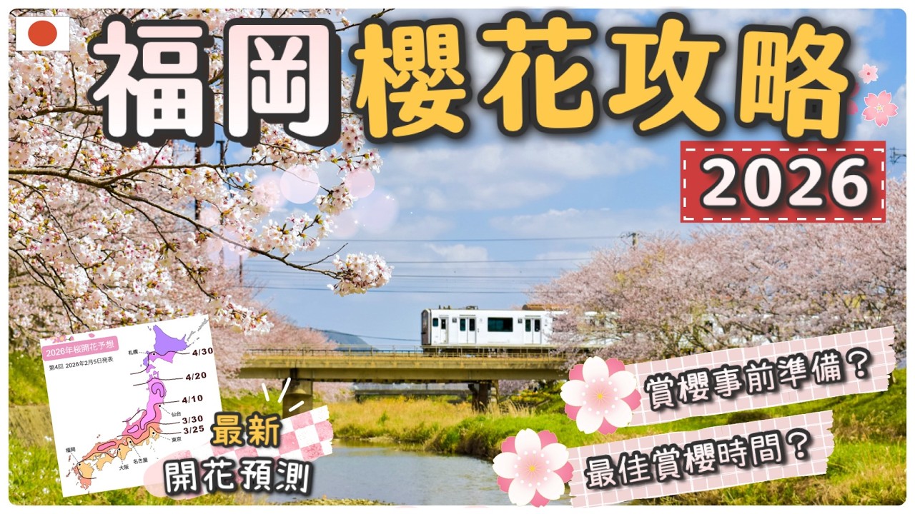 福岡最強櫻花攻略🌸 | 遊客不知道的賞櫻秘景 | 浪漫粉紅櫻花森林 | 夢幻櫻花隧道 | 最新開花預報