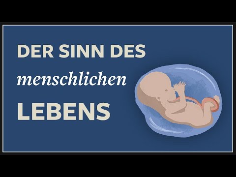 Sinn des Lebens · Hannah Arendt, Philosophie