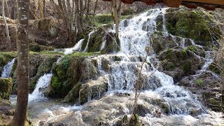 Taorska vrela Povlen Valjevo Srbija 15.03.2020. (4K)