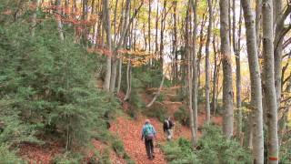 preview picture of video 'Vigilant el Vallespir des de la Torre del Mir'