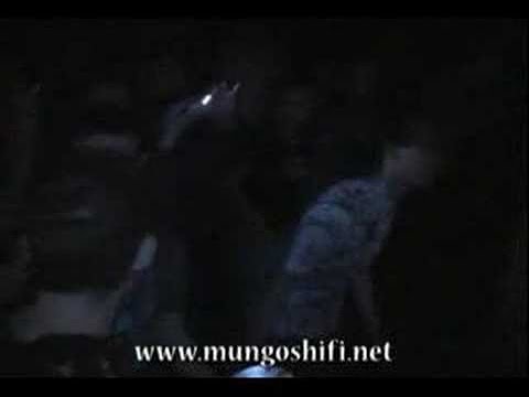 Mungo's Hi Fi ft. Top Cat - Herbalist Live