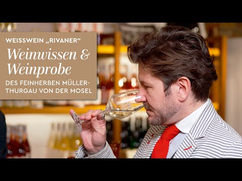 Weißwein "Rivaner" - feinherber Müller-Thurgau von der Mosel. Weinwissen & Weinprobe des Moselwein