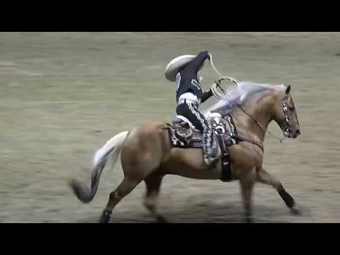 Lo mejor de Tomás Garcilazo floreo en el lienzo charro (Recopilación)