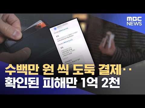 수백만 원 씩 도둑 결제‥ 확인된 피해만 1억 2천 (2026.02.26/뉴스데스크/여수MBC)