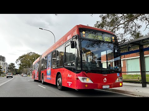 ZF - Volvo B12BLEA Euro 5 CC CB60 Evoii - 2110 ST