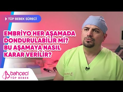Embriyo her aşamada dondurulabilir mi? Bu aşamaya nasıl karar verilir?
