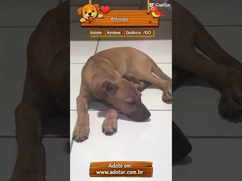 Vídeo de Alfredo 