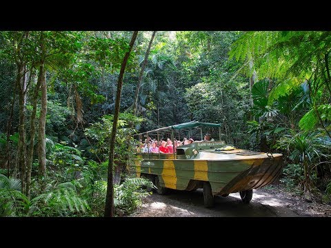 Explore Kuranda Rainforestation Nature Park in Cairns, Australia