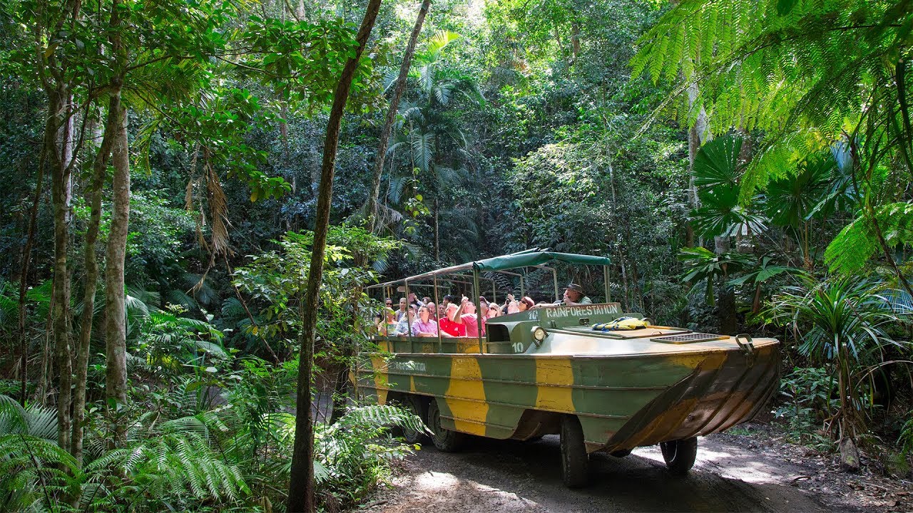 Experience the highlights of Rainforestation Nature Park.