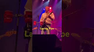 David Wilcox Layin  Pipe live oct 18 2024